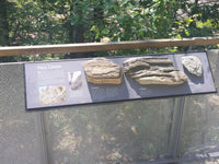 2 Sided Chameleon Panel