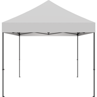 Zoom 10' Economy Tent Kit